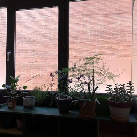 Logement De Charme Aux Carmes Toulouse Exterior foto