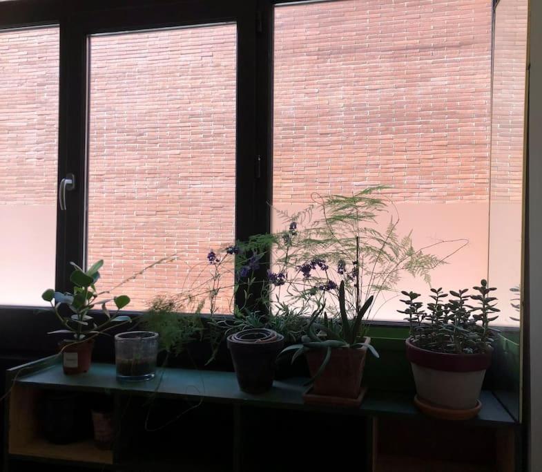 Logement De Charme Aux Carmes Toulouse Exterior foto